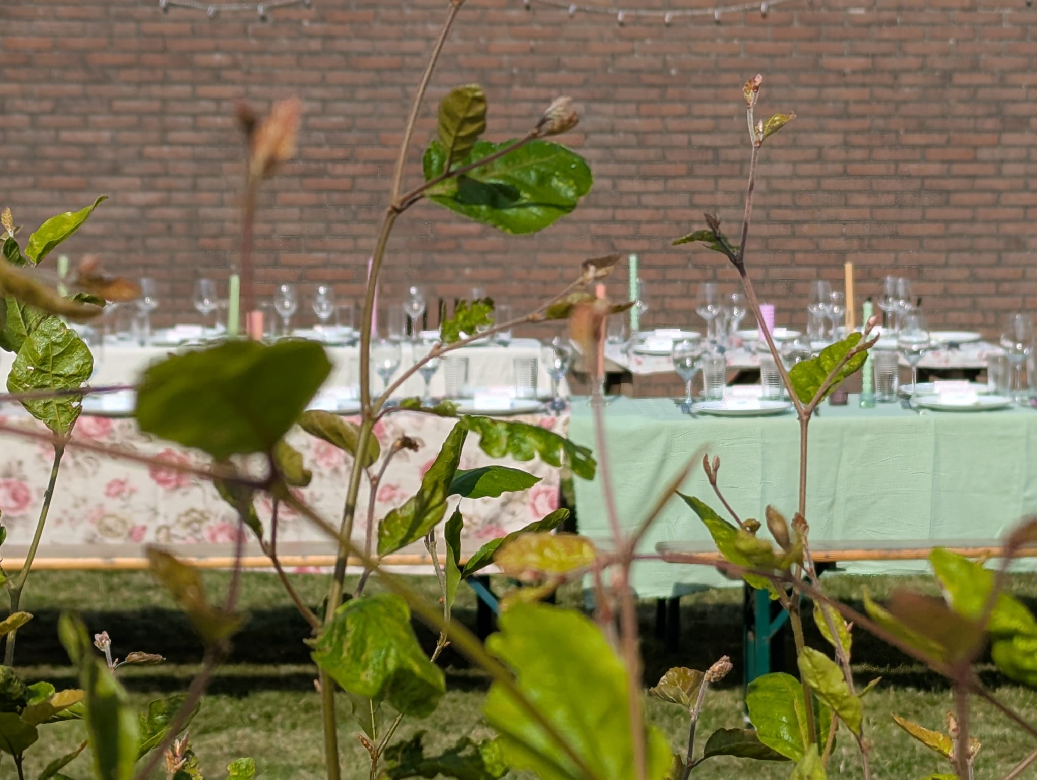 fotoswebsitecatering15